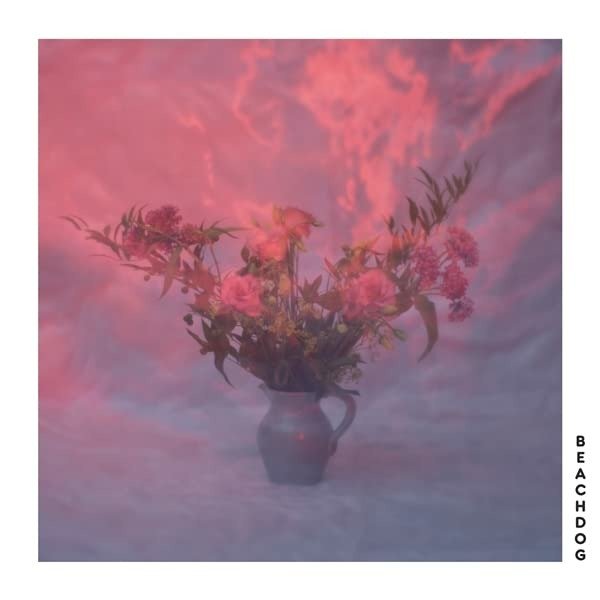 CD Beachdog - BEACHDOG