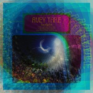 CD Avey Tare - EUCALYPTUS