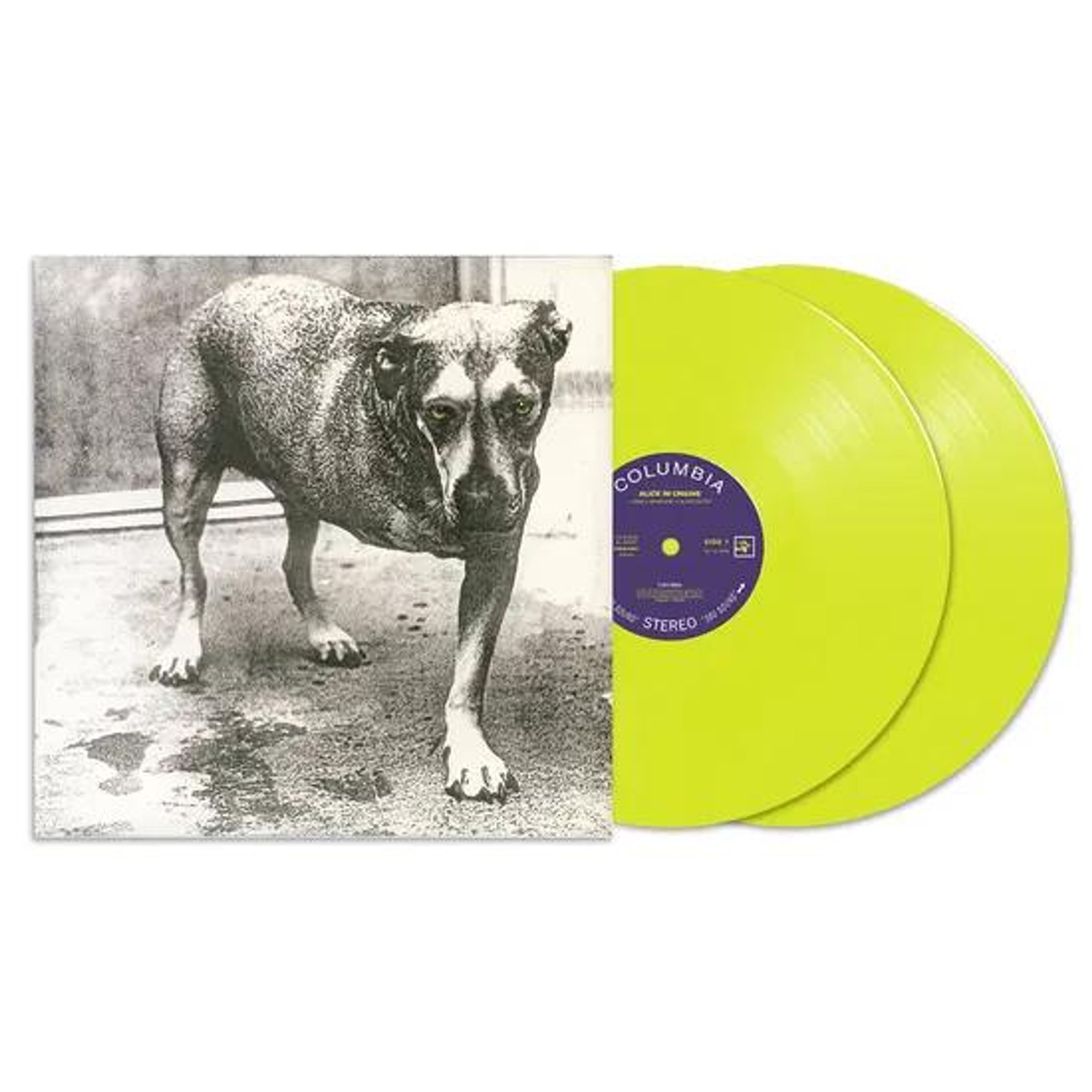 Vinyl Alice In Chains - Alice In Chains