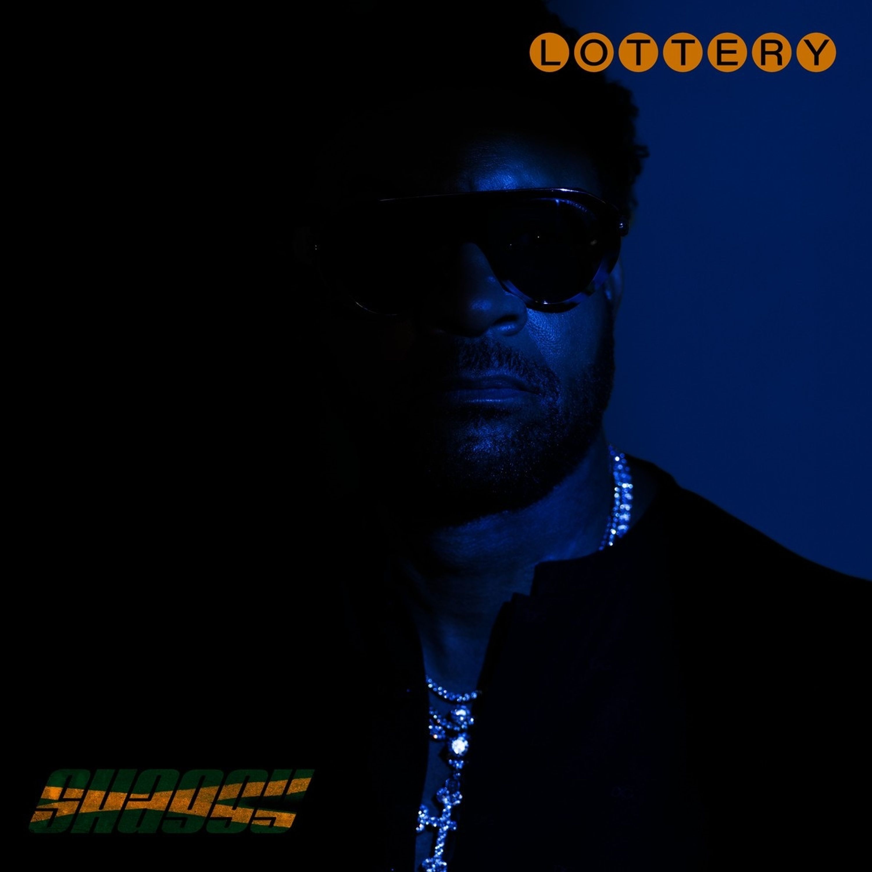 Vinyl Shaggy - LOTTERY