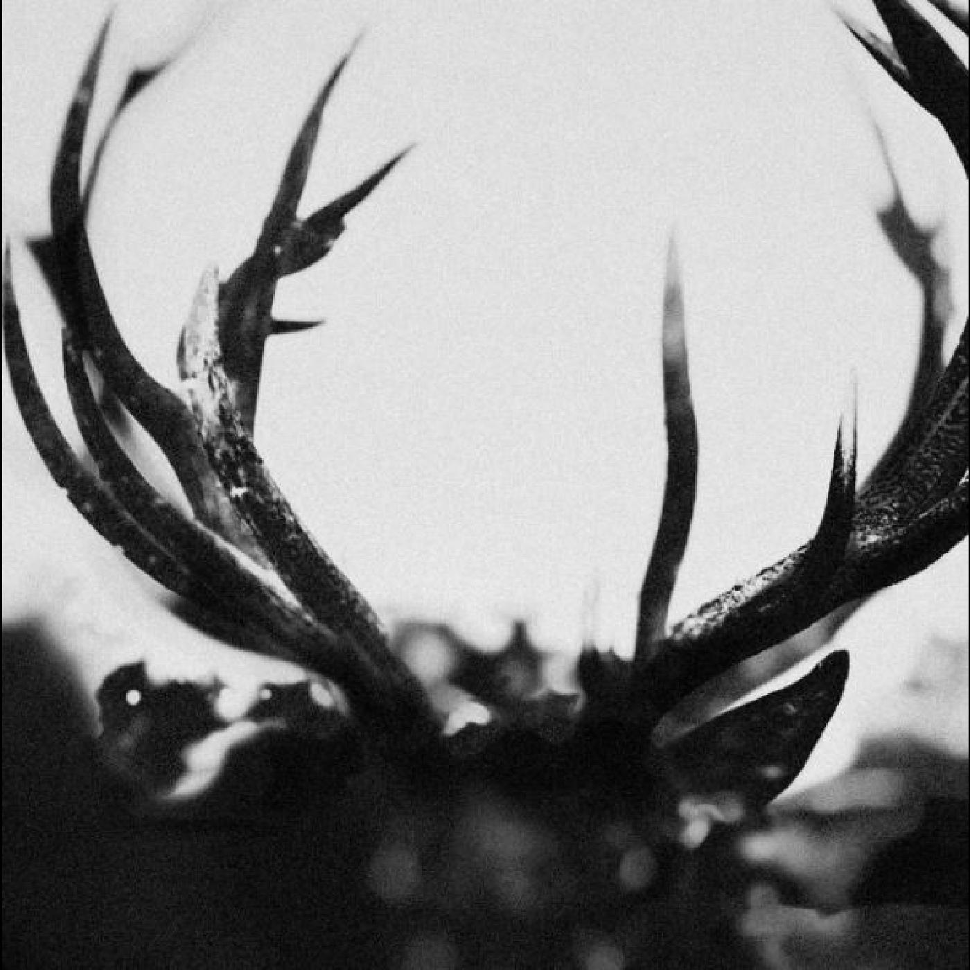CD Ihsahn - IHSAHN