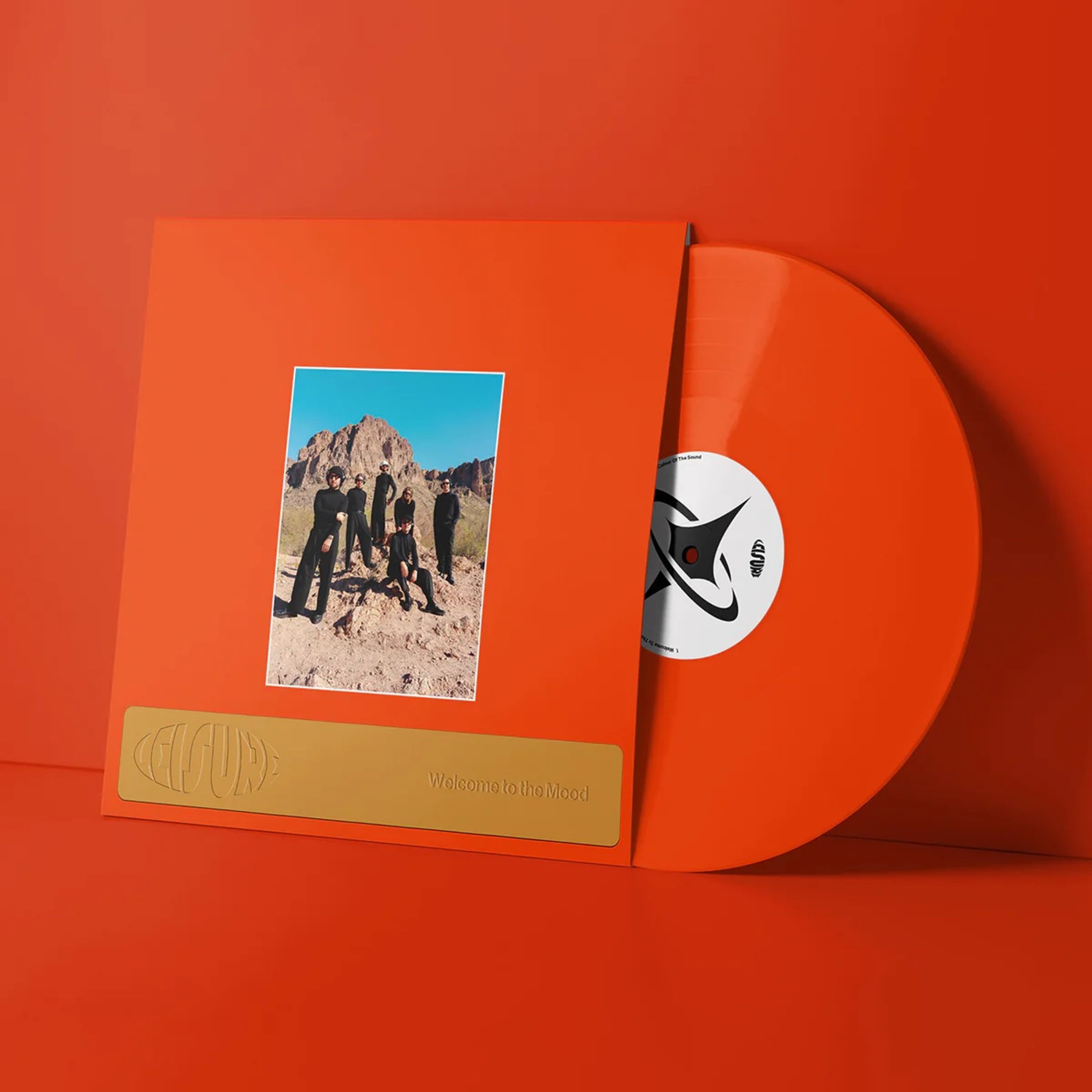 Vinyl LEISURE - WELCOME TO THE MOOD