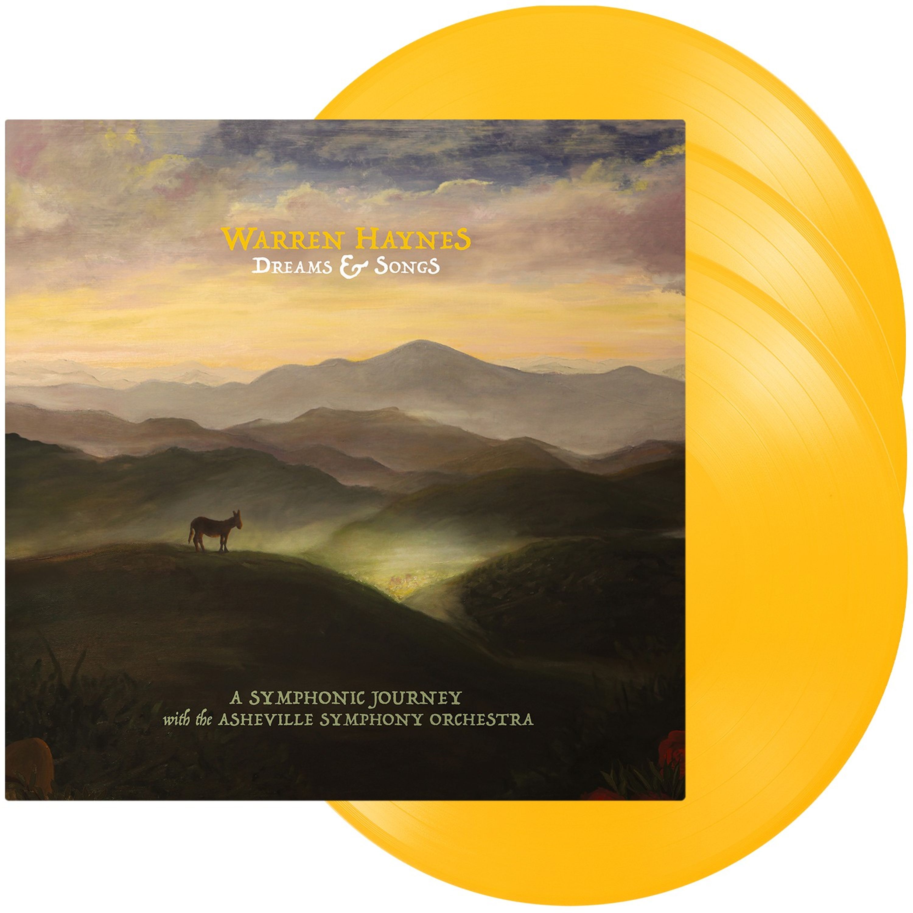 Vinyl Warren Haynes - DREAMS & SONGS
