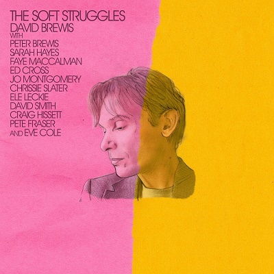 CD David Brewis - SOFT STRUGGLES