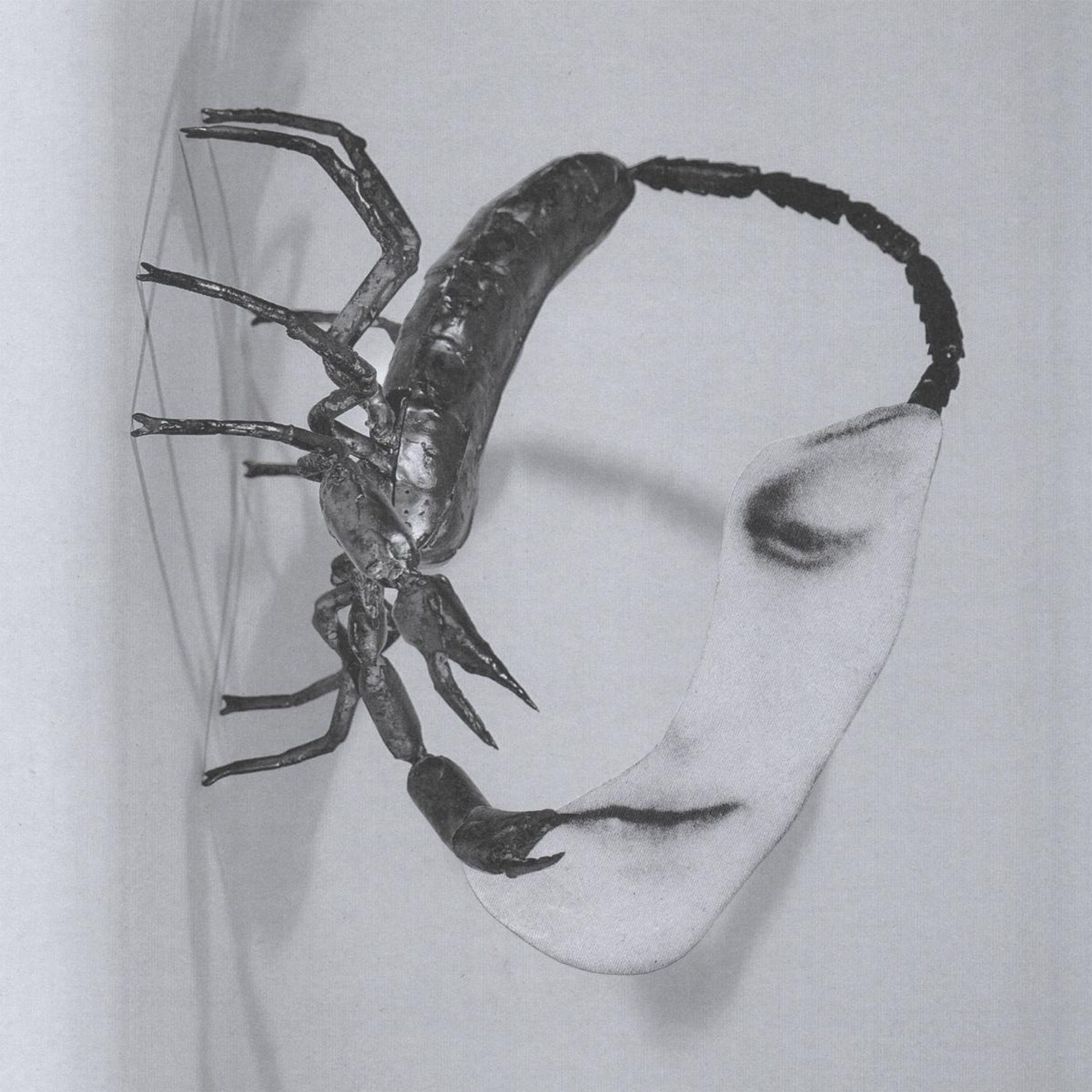 CD Tortoise - TOUCH