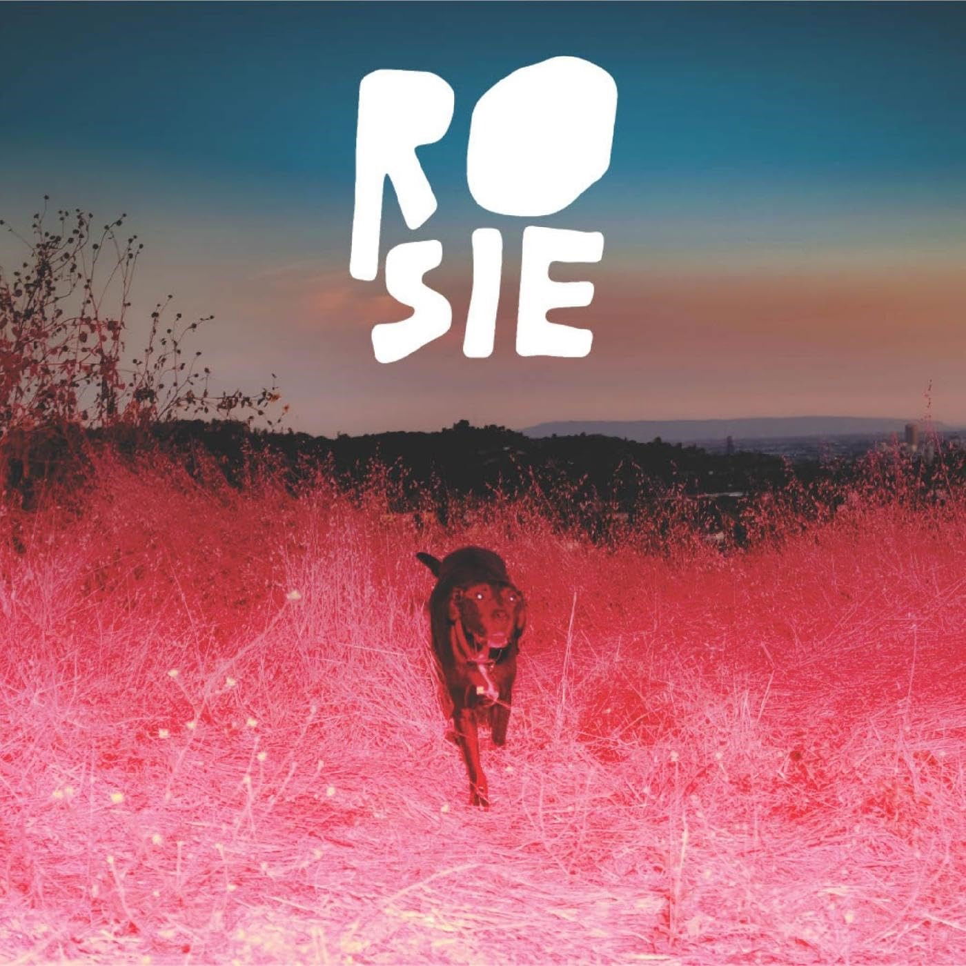 Vinyl Kaycie Satterfield - ROSIE