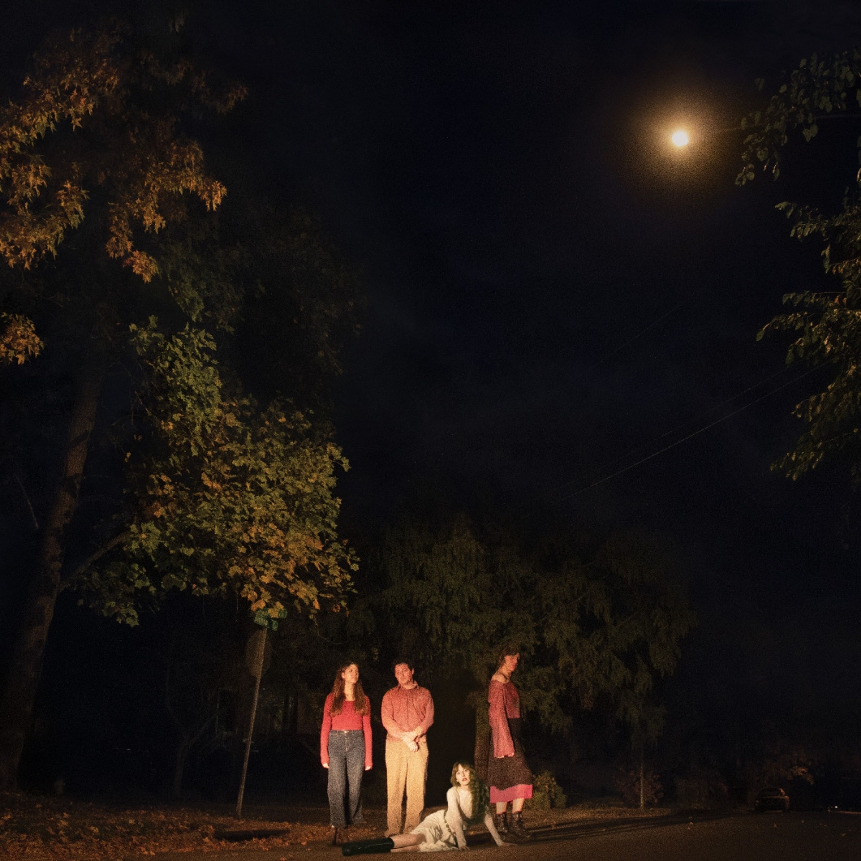 Vinyl The Ophelias - SPRING GROVE