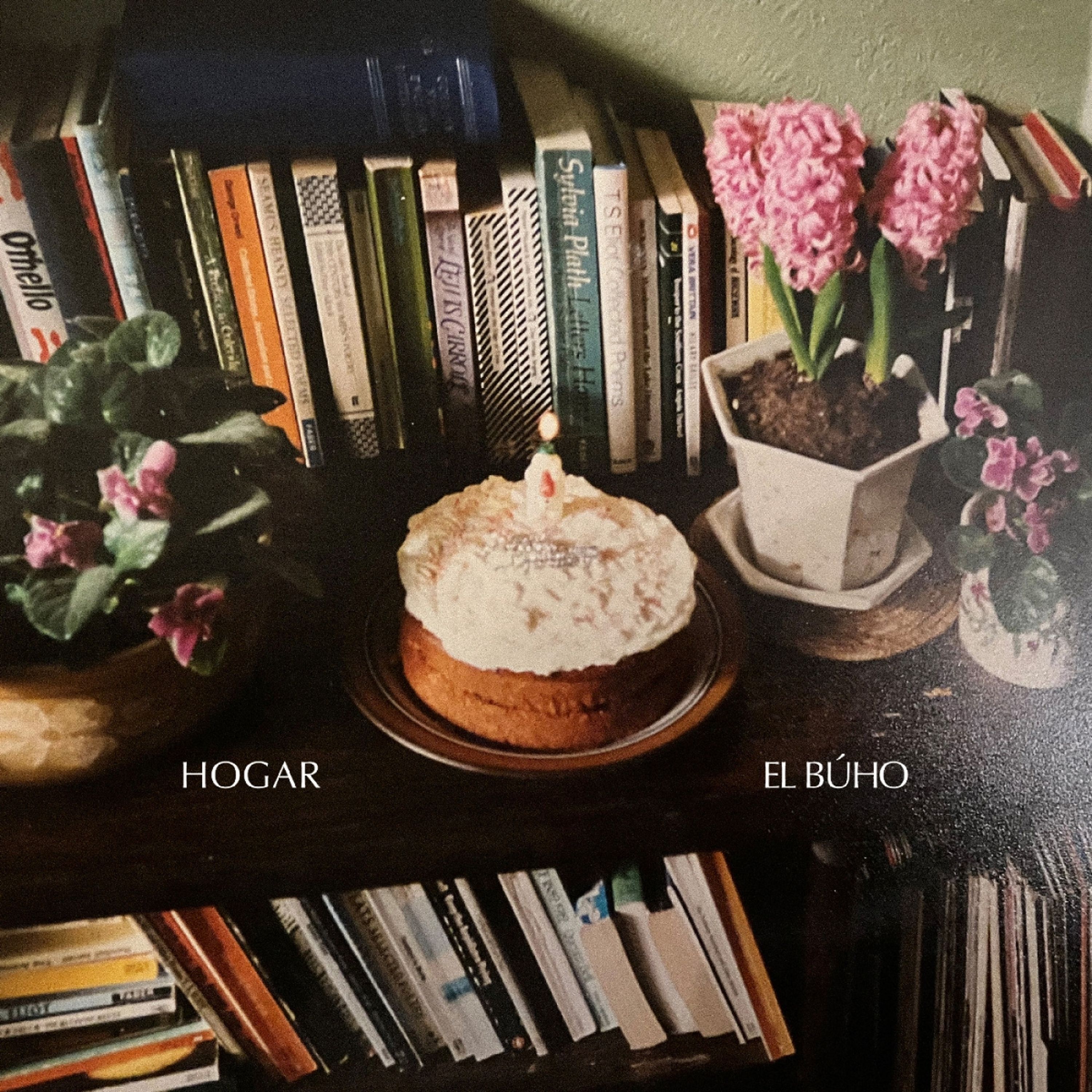 Vinyl El Búho - HOGAR
