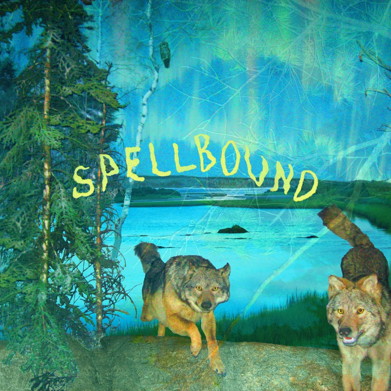 CD BOYSCOTT - SPELLBOUND