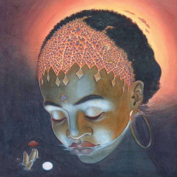 CD Orion Sun - ORION
