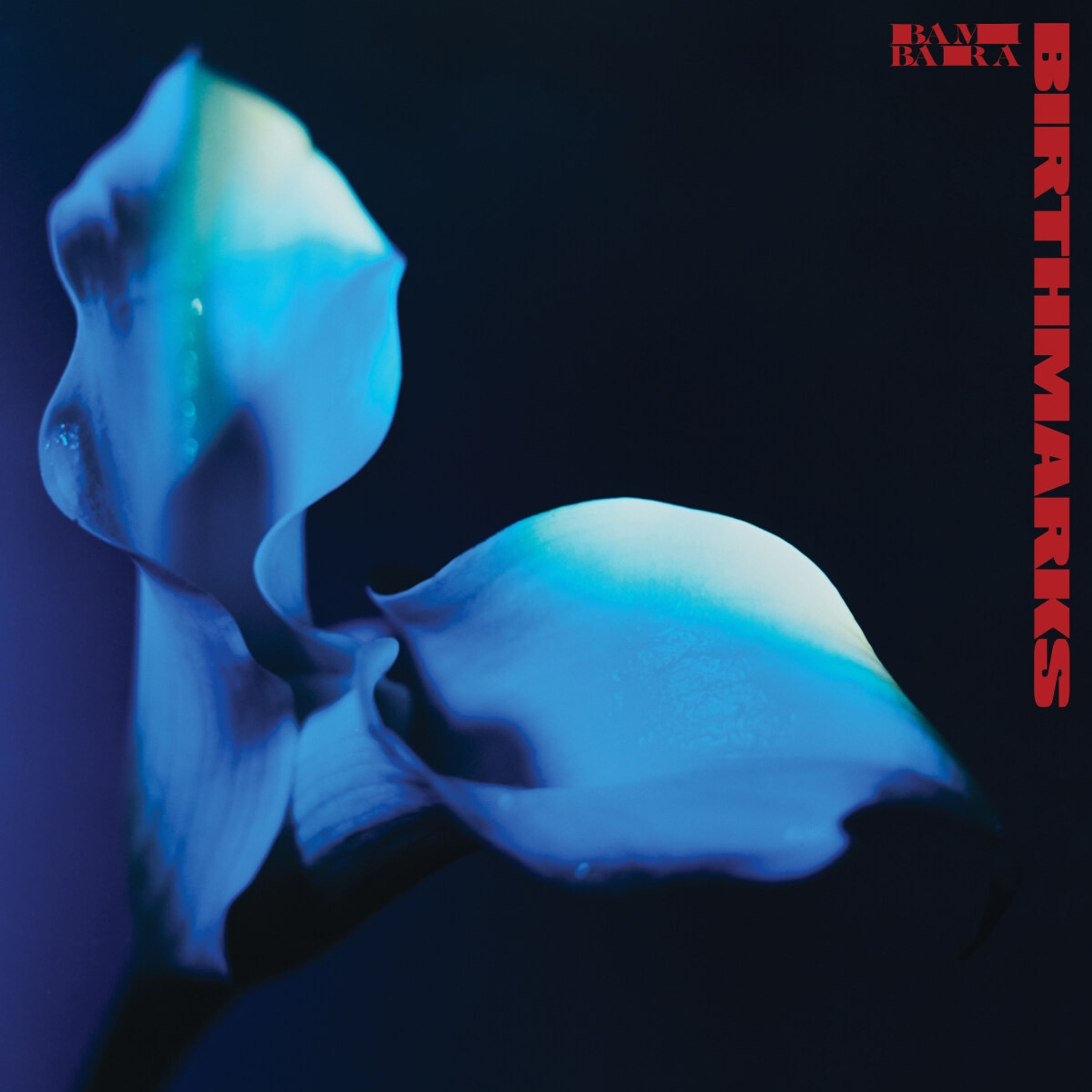 CD Bambara - BIRTHMARKS