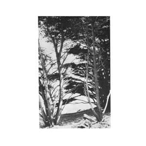 Vinyl Rick Deitrick - GENTLE WILDERNESS