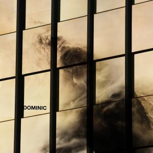 Vinyl Dominic Angelella - DOMINIC