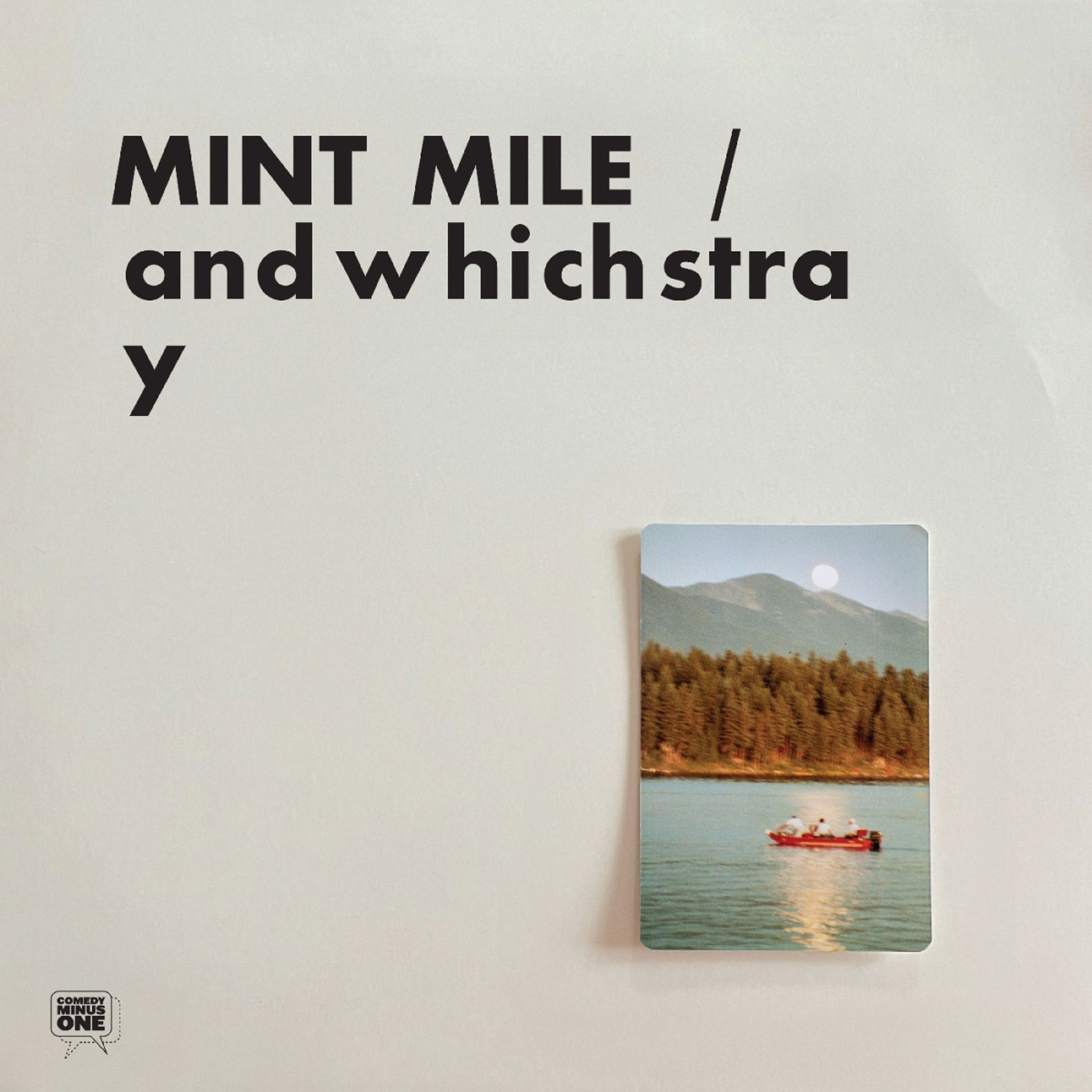 Vinyl Mint Mile - ANDWHICHSTRAY