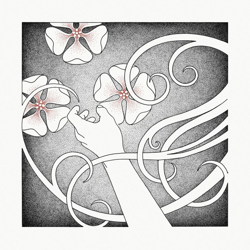 Vinyl Whispering Void - AT THE SOUND OF THE HEART