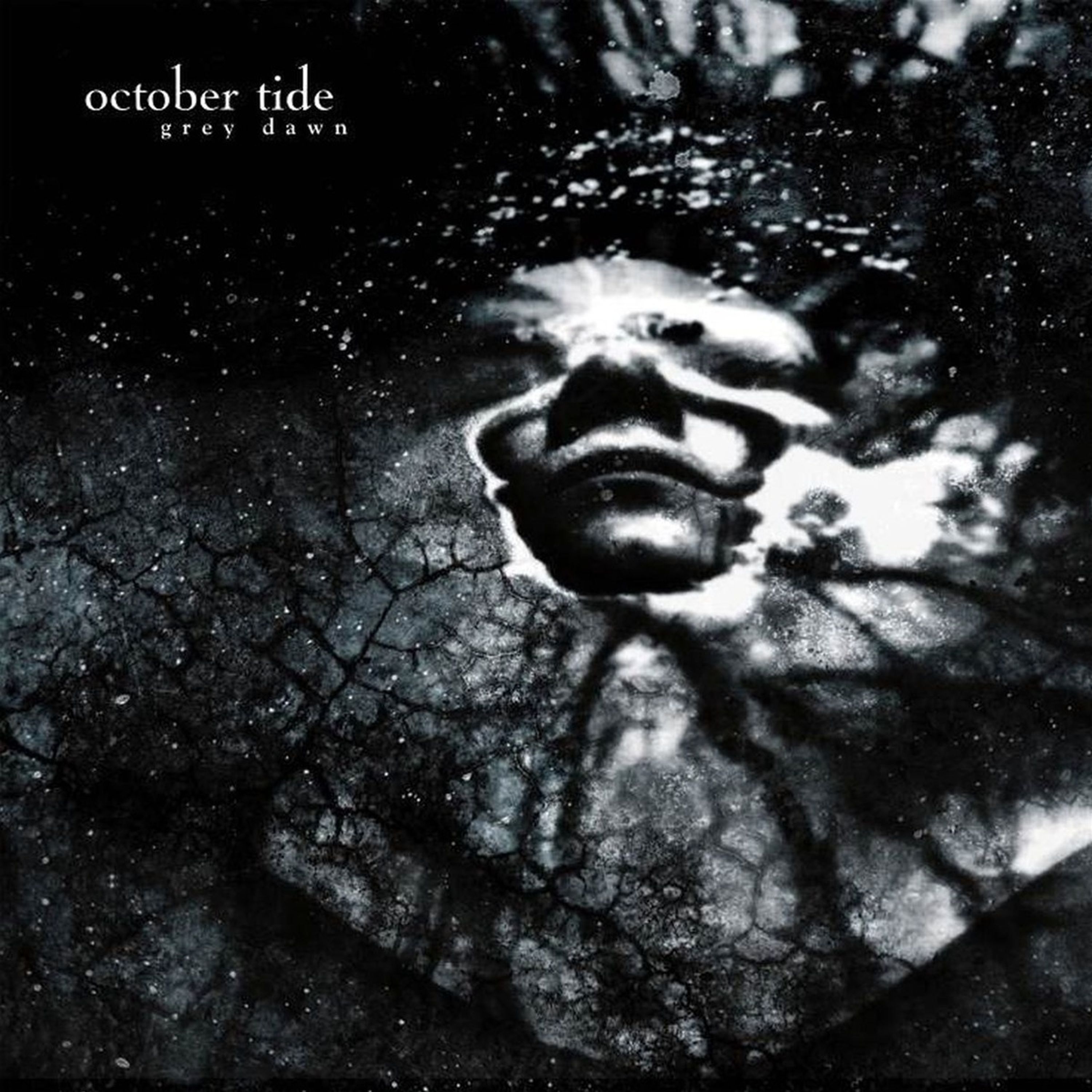 Vinyl October Tide - Grey Dawn