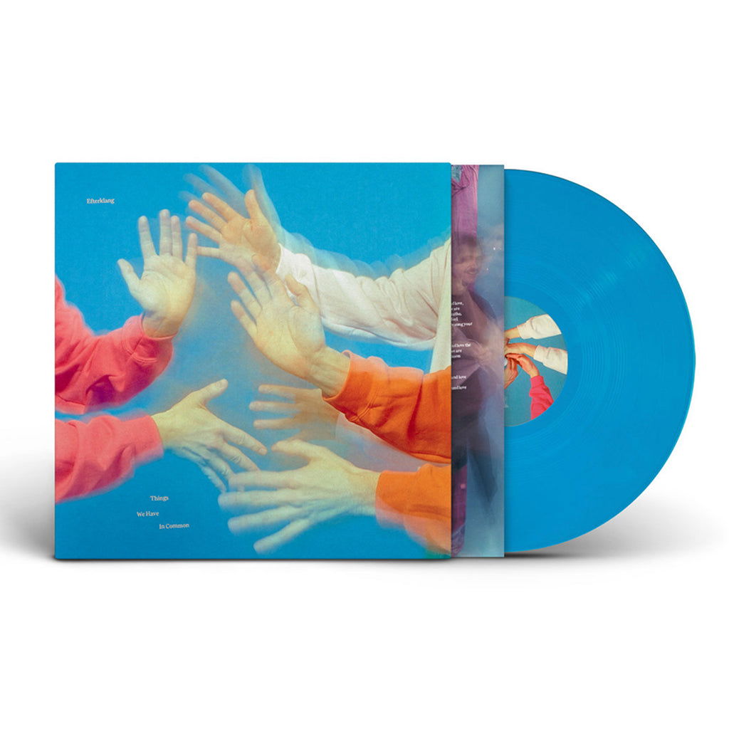 Vinyl Efterklang - THINGS WE HAVE IN COMMON