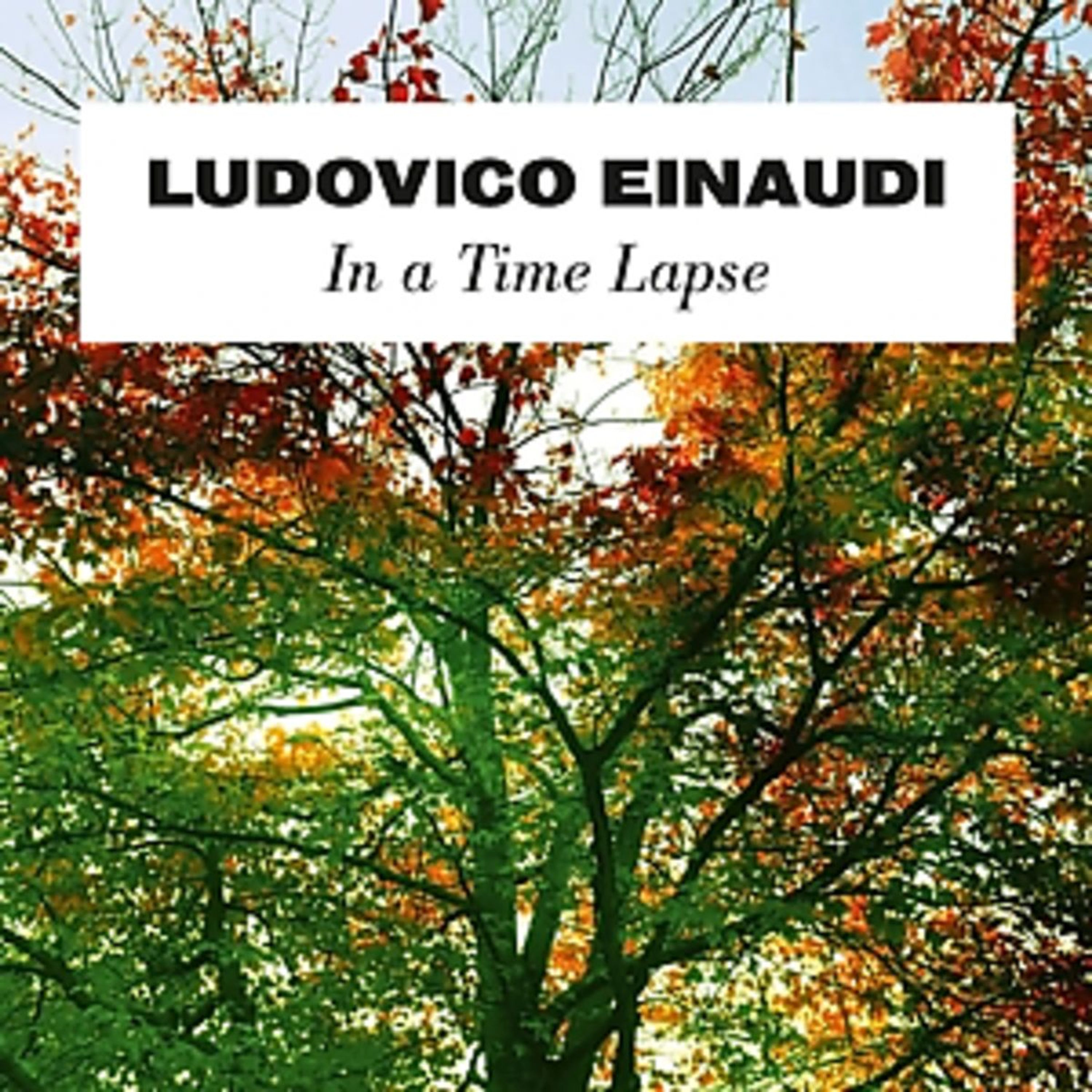 Vinyl Ludovico Einaudi - IN A TIME LAPSE