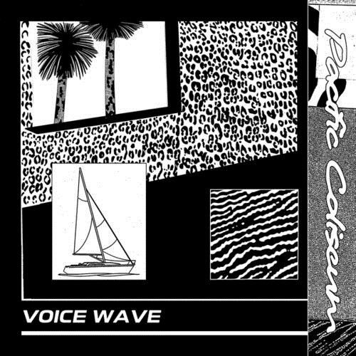 Vinyl Coliseum - VOICE WAVE