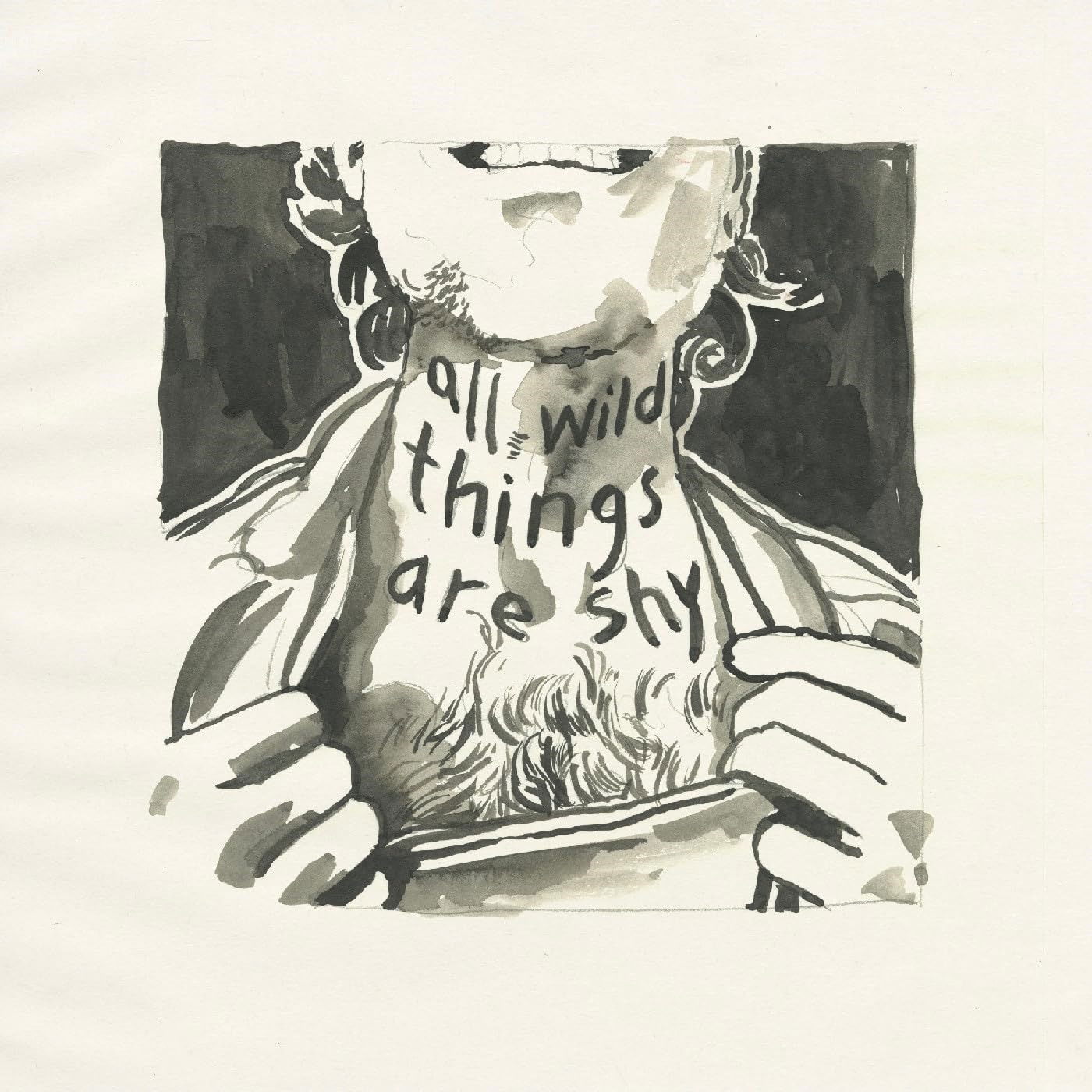 CD Richard Laviolette - ALL WILD THINGS ARE SHY