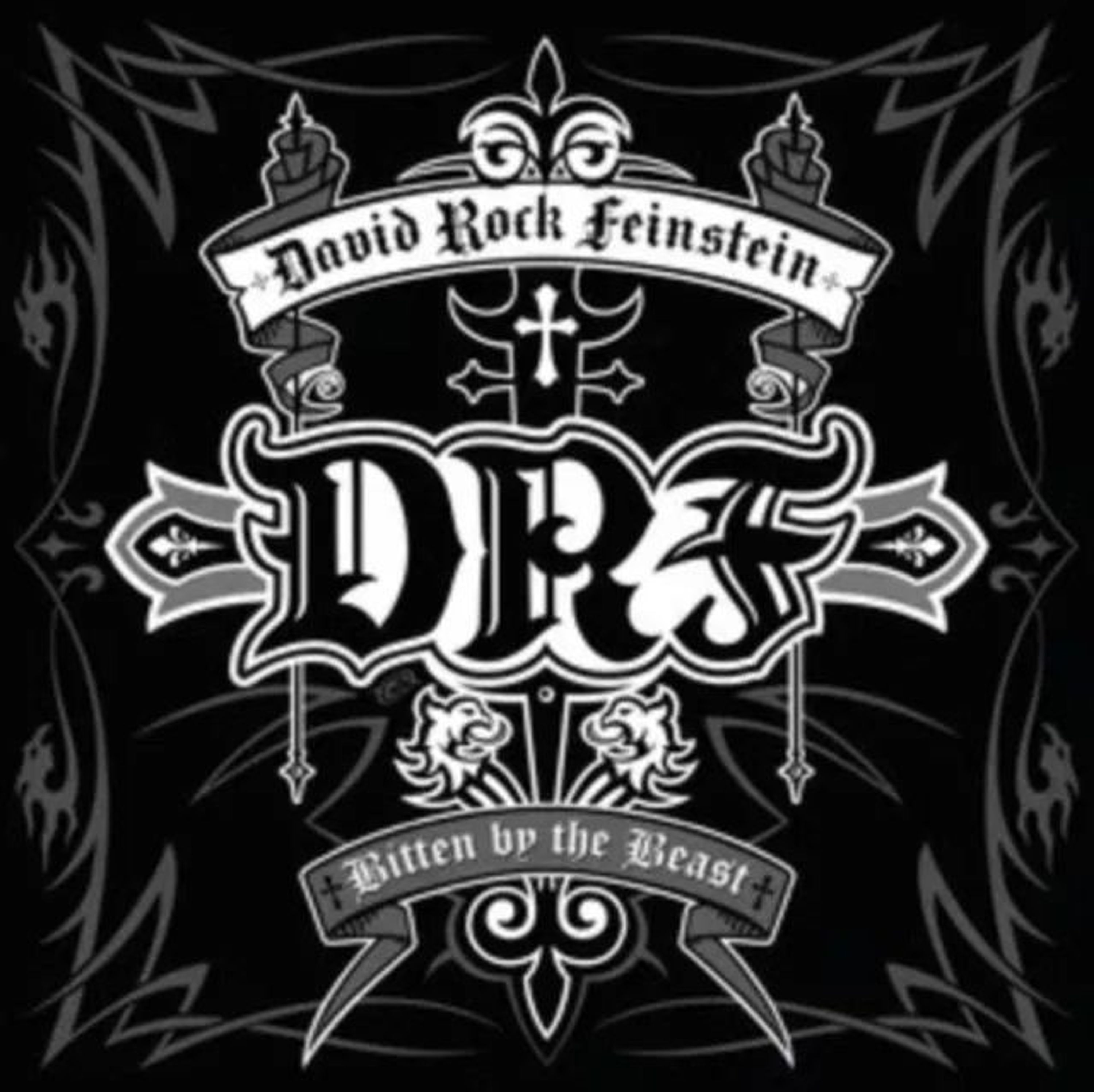 CD David "Rock" Feinstein - BITTEN BY THE BEAST