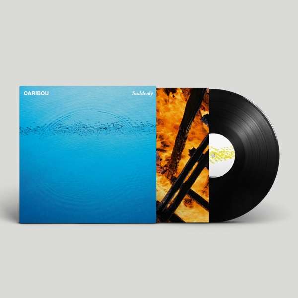 Vinyl Caribou - SUDDENLY