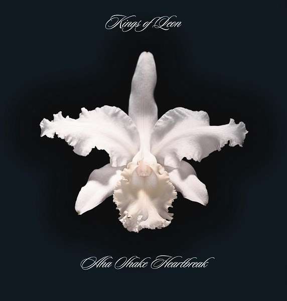 Vinyl Kings of Leon - Aha Shake Heartbreak
