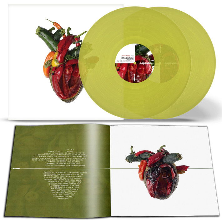 Vinyl Carcass - TORN ARTERIES