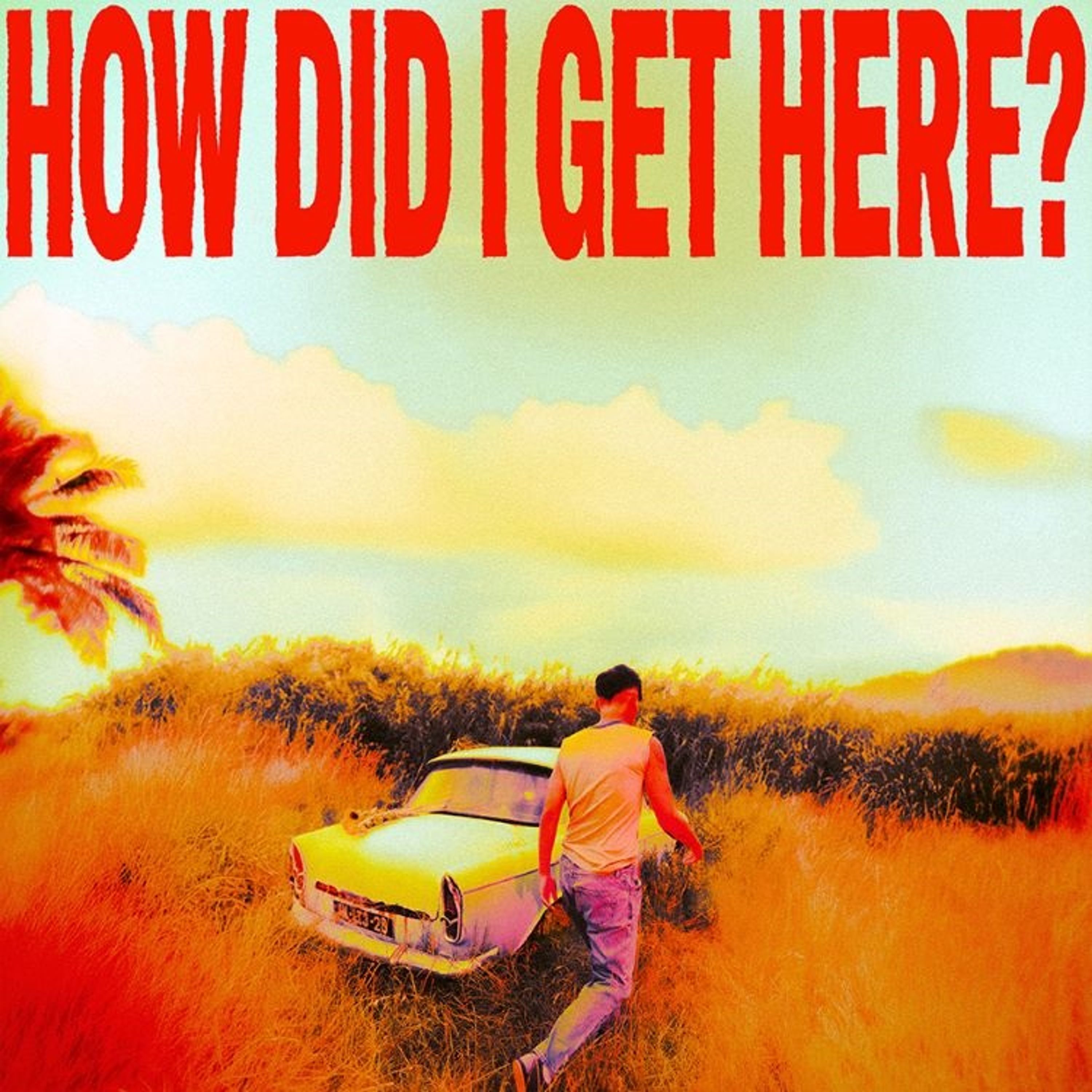 Vinyl Louis Tomlinson - HOW DID I GET HERE?