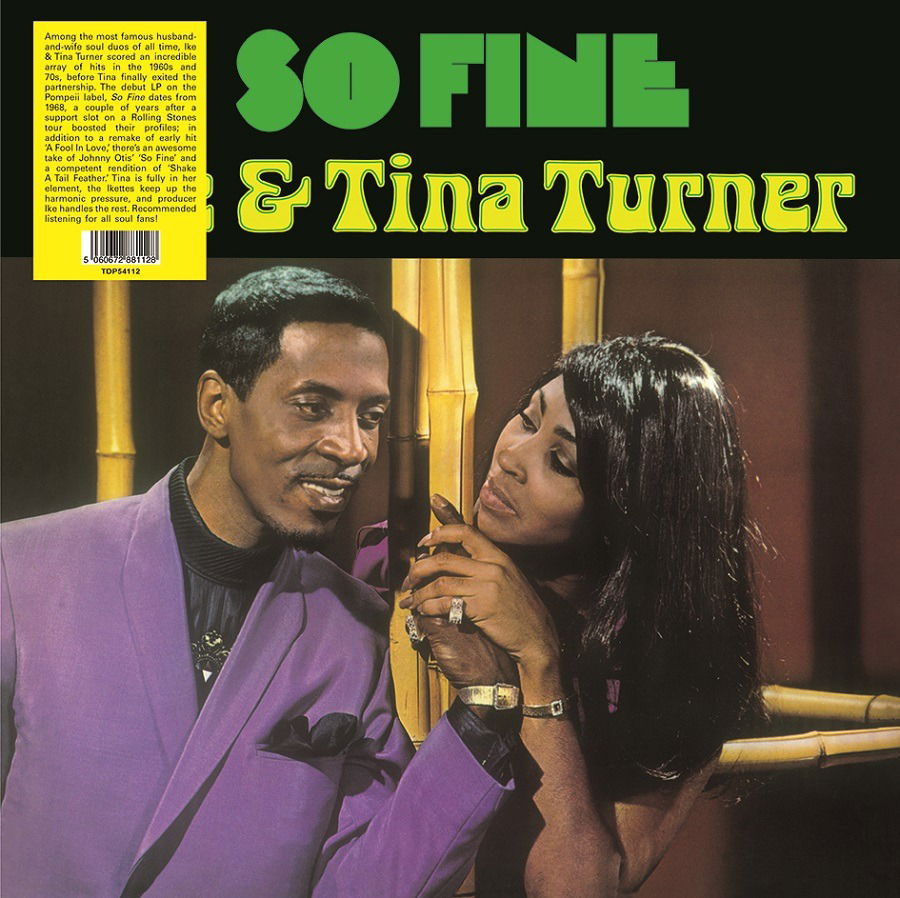 Vinyl Ike & Tina Turner - SO FINE