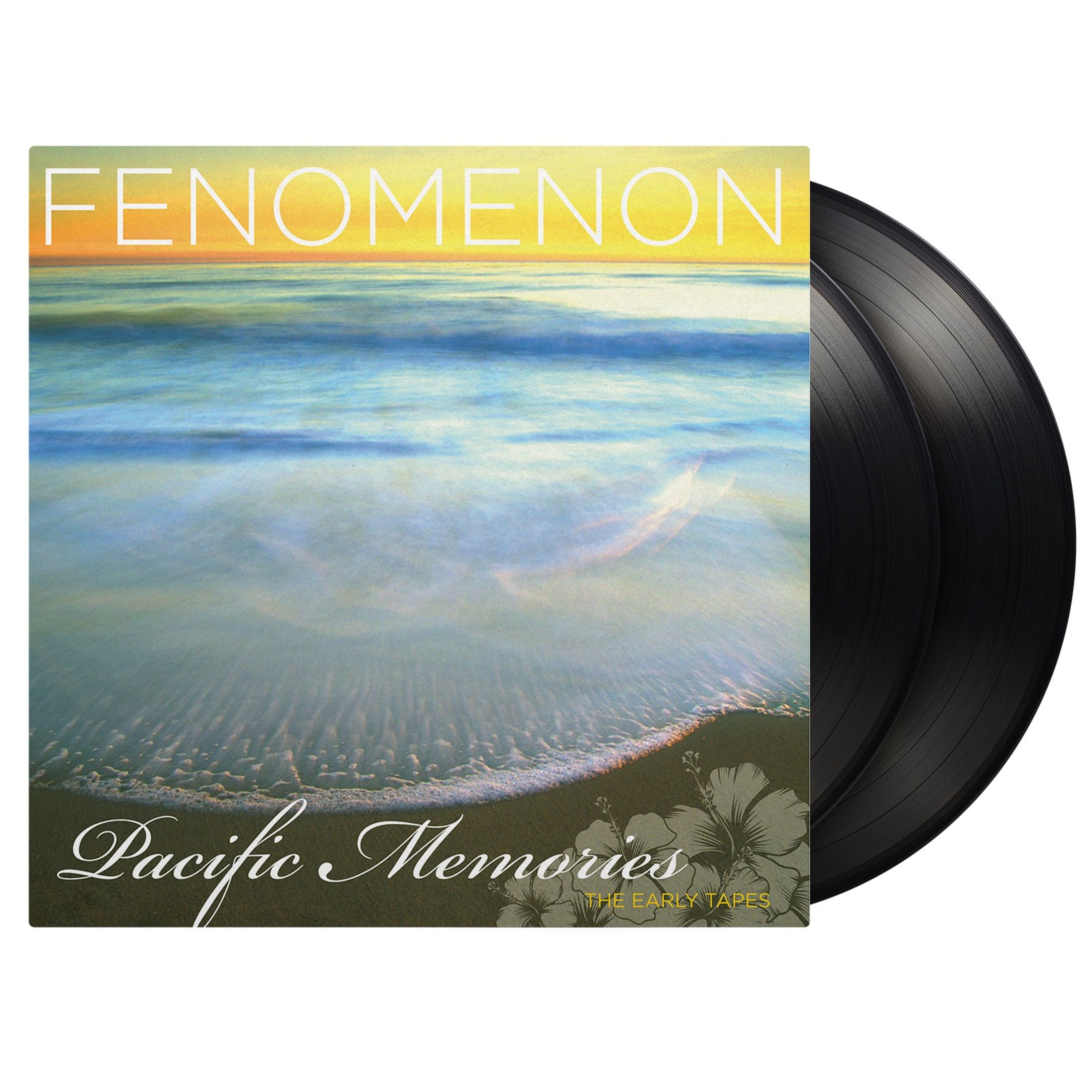 Vinyl - PACIFIC MEMORIES: THE ...