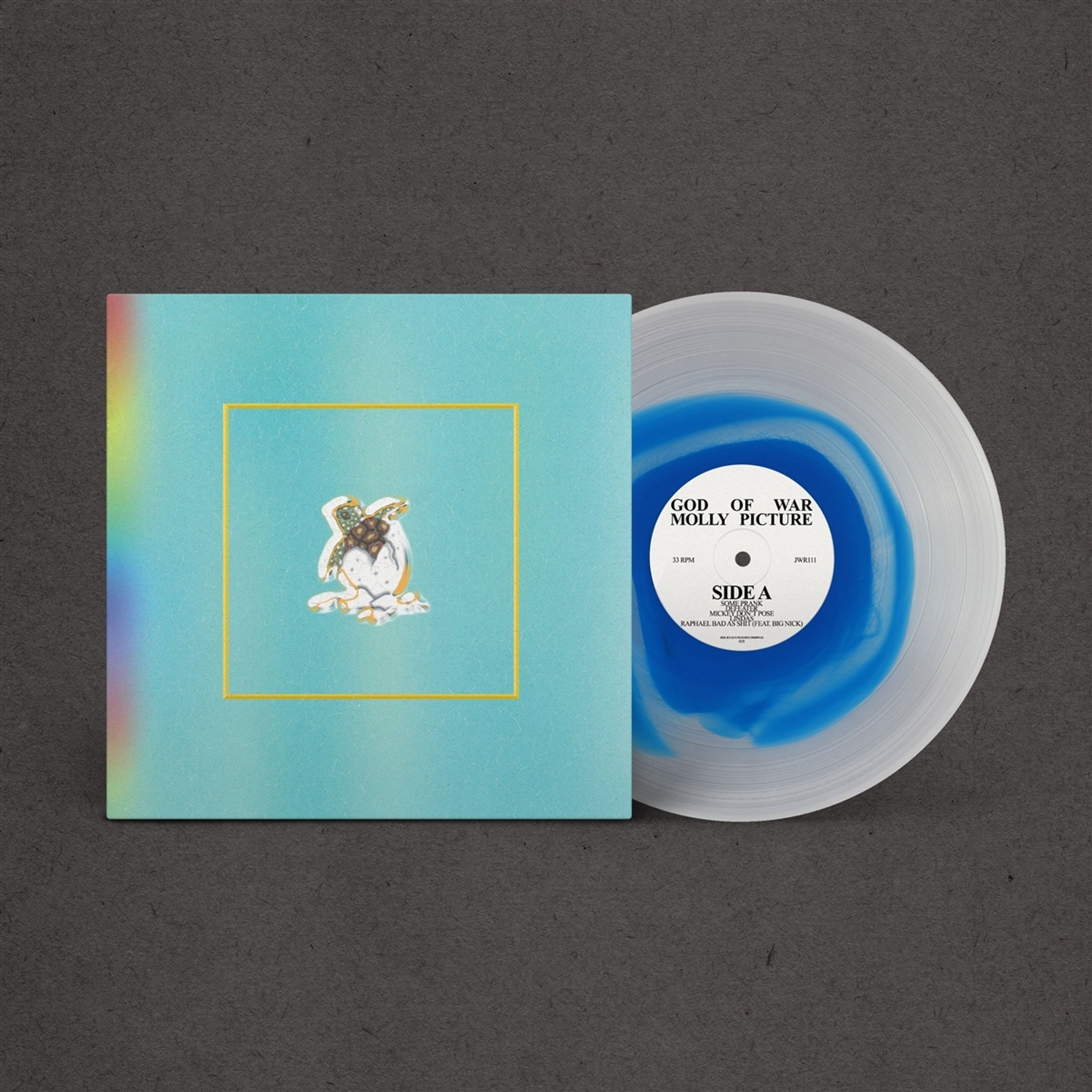 Vinyl - MOLLY PICTURE