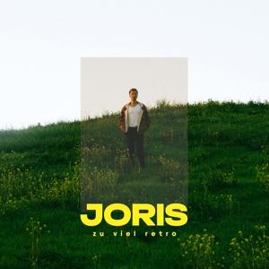 Vinyl Joris - Zu Viel Retro