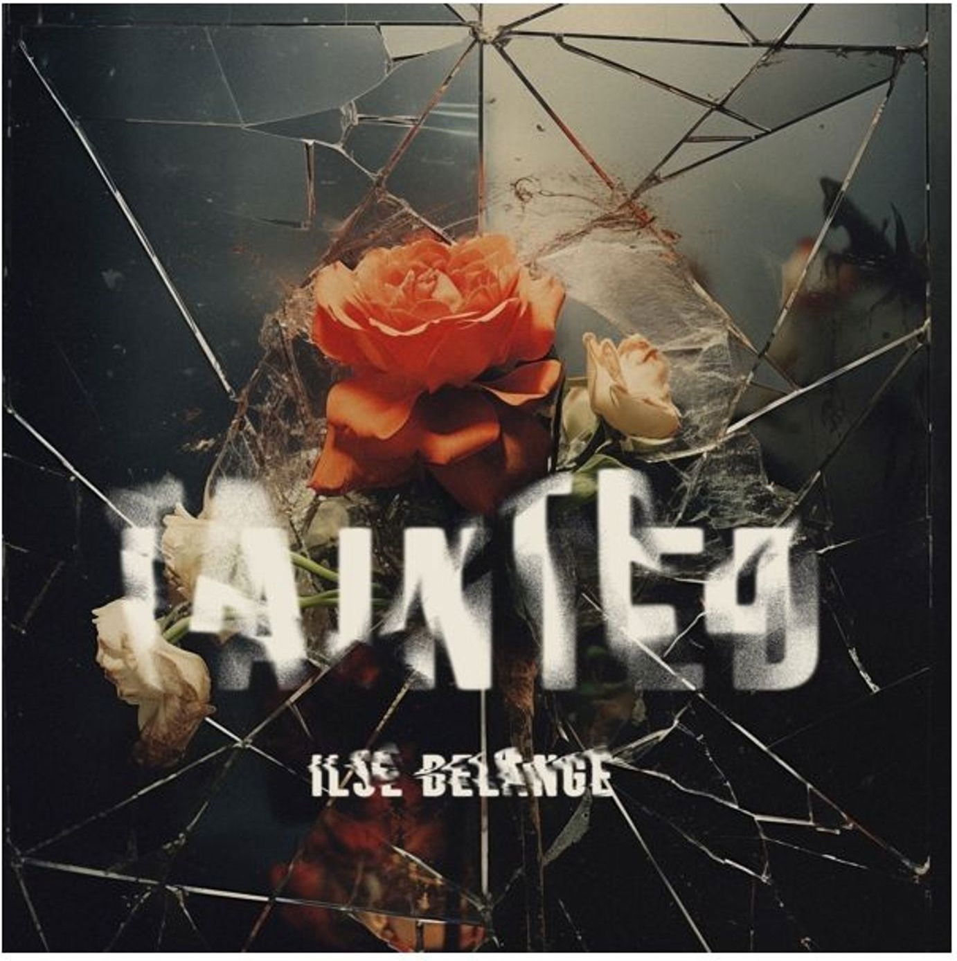 CD Ilse DeLange - TAINTED