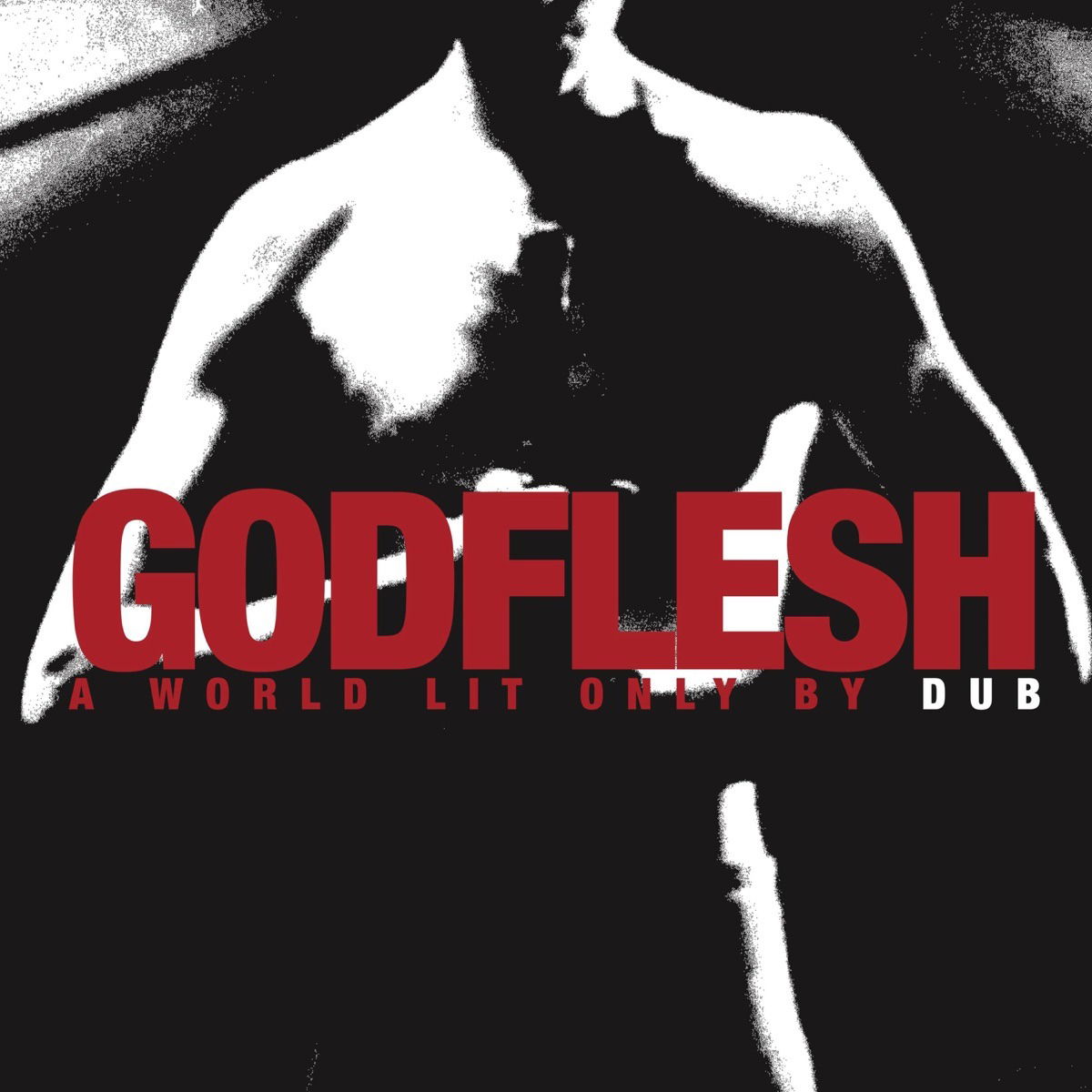 Vinyl Godflesh - A WORLD LIT ONLY BY DUB