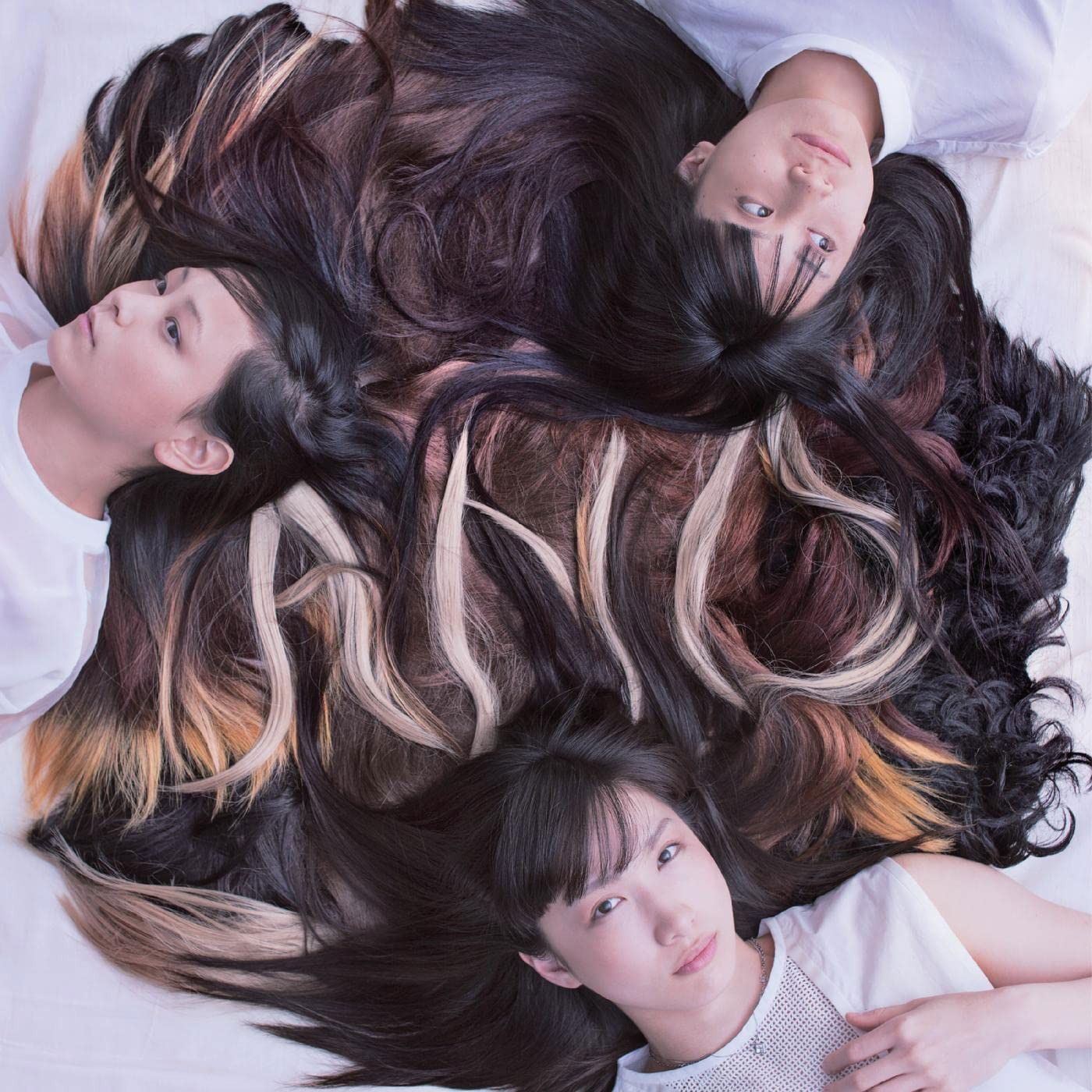 Vinyl Tricot - A N D
