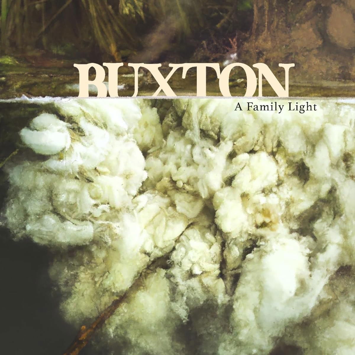 CD Buxton - A FAMILY LIGHT