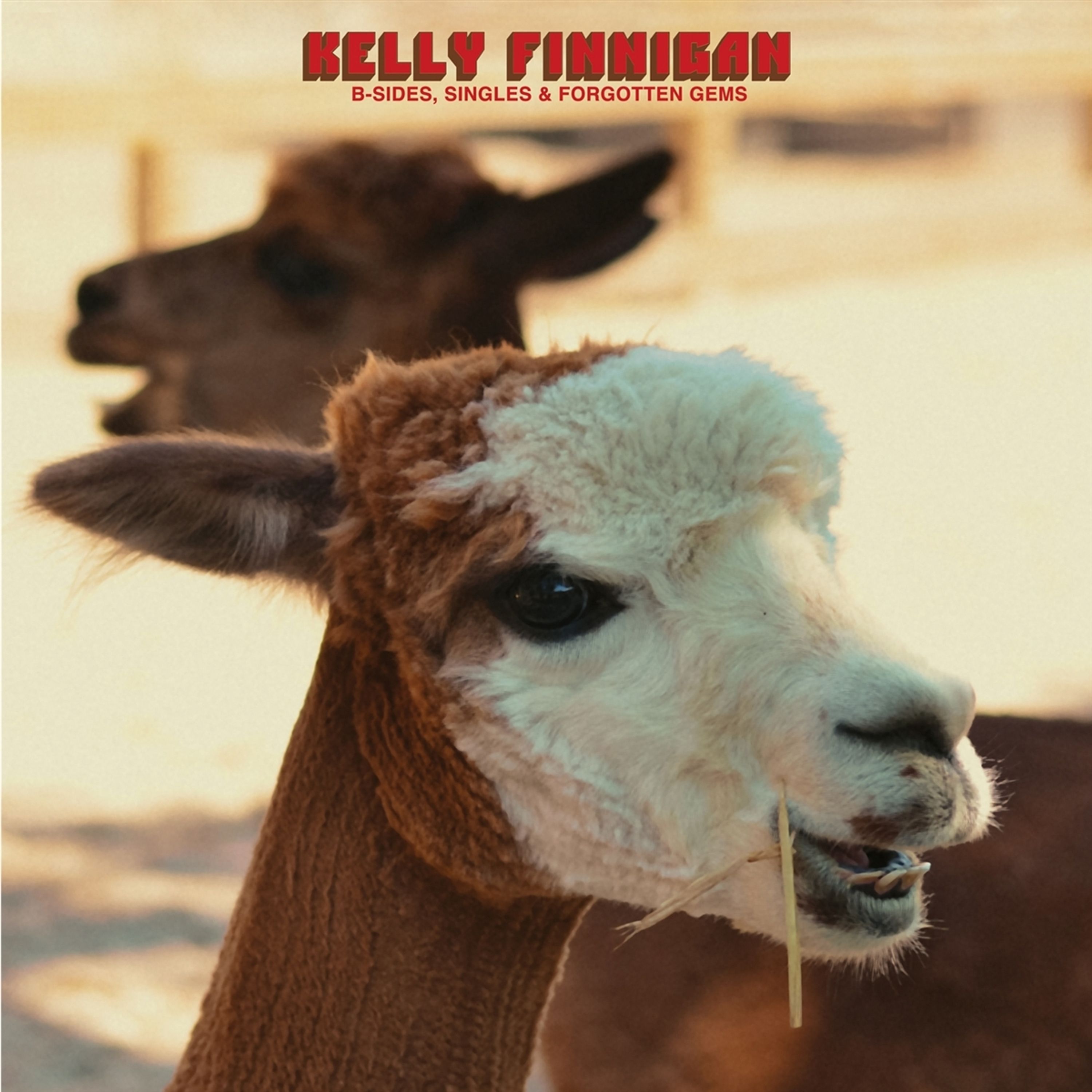CD Kelly Finnigan - B-SIDES, SINGLES &...