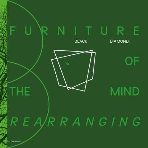 Vinyl Malokarpatan - FURNITURE OF THE MIND REARRANGING