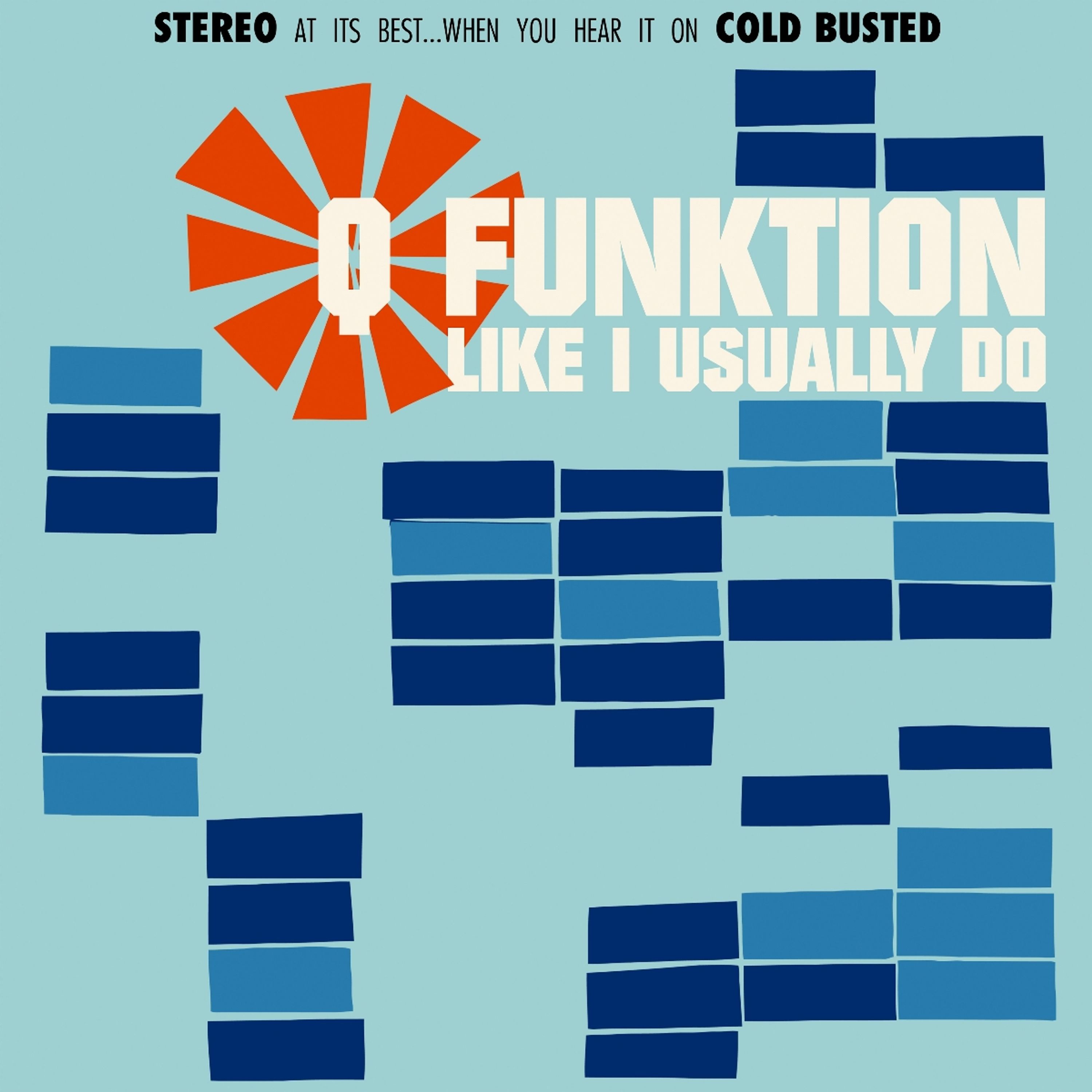 Vinyl Q Funktion - LIKE I USUALLY DO