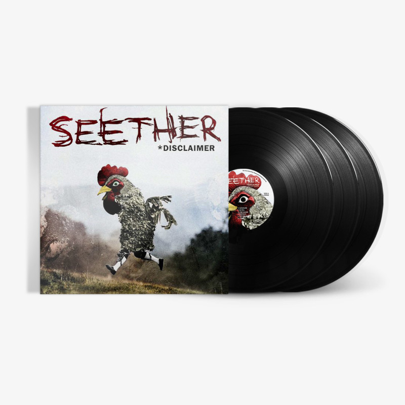 Vinyl SEETHER - Disclaimer