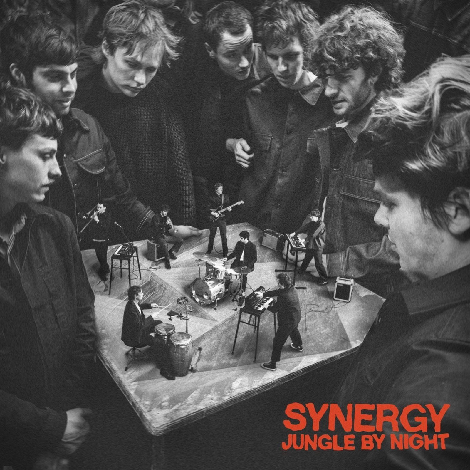 CD Jungle by Night - SYNERGY