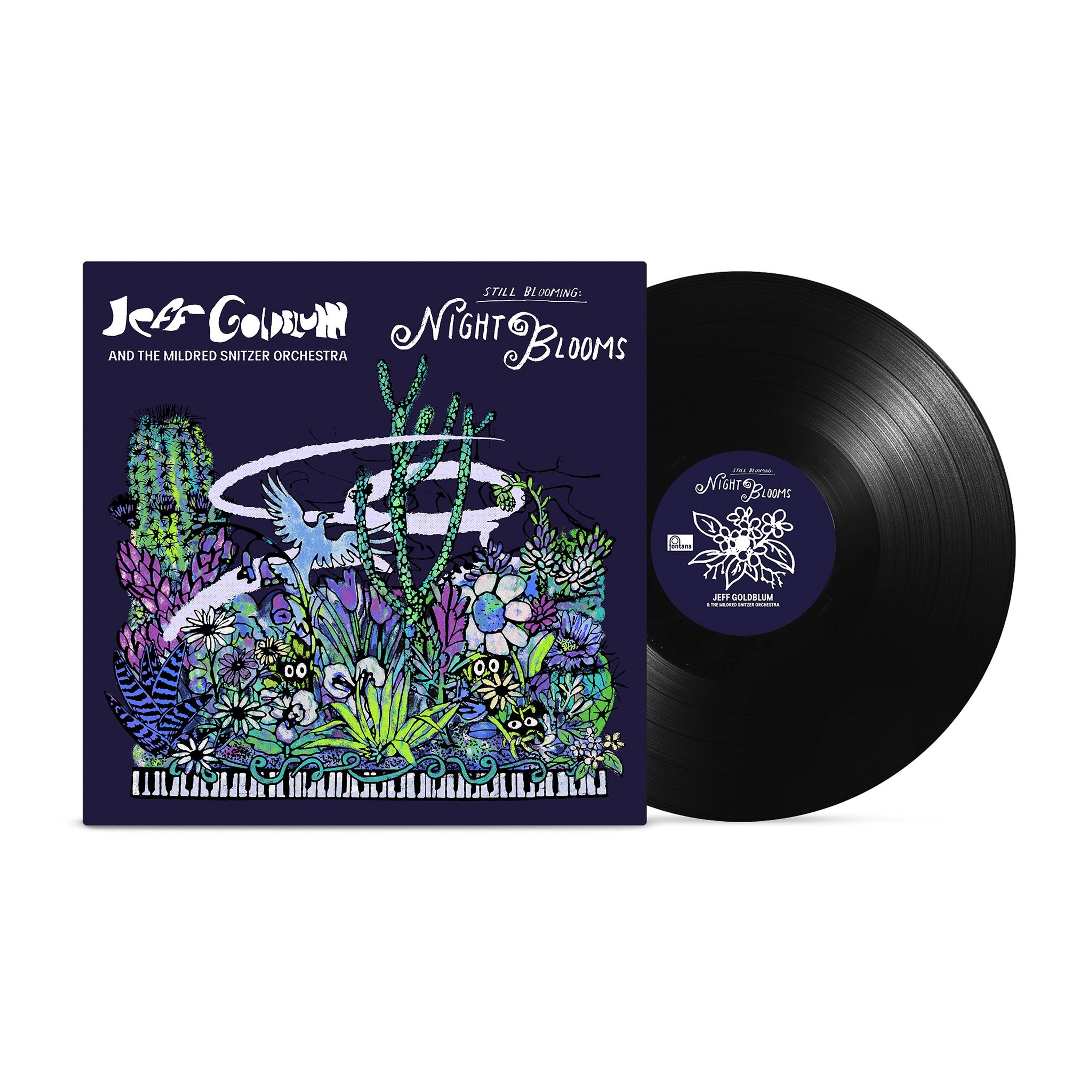 Vinyl - NIGHT BLOOMS