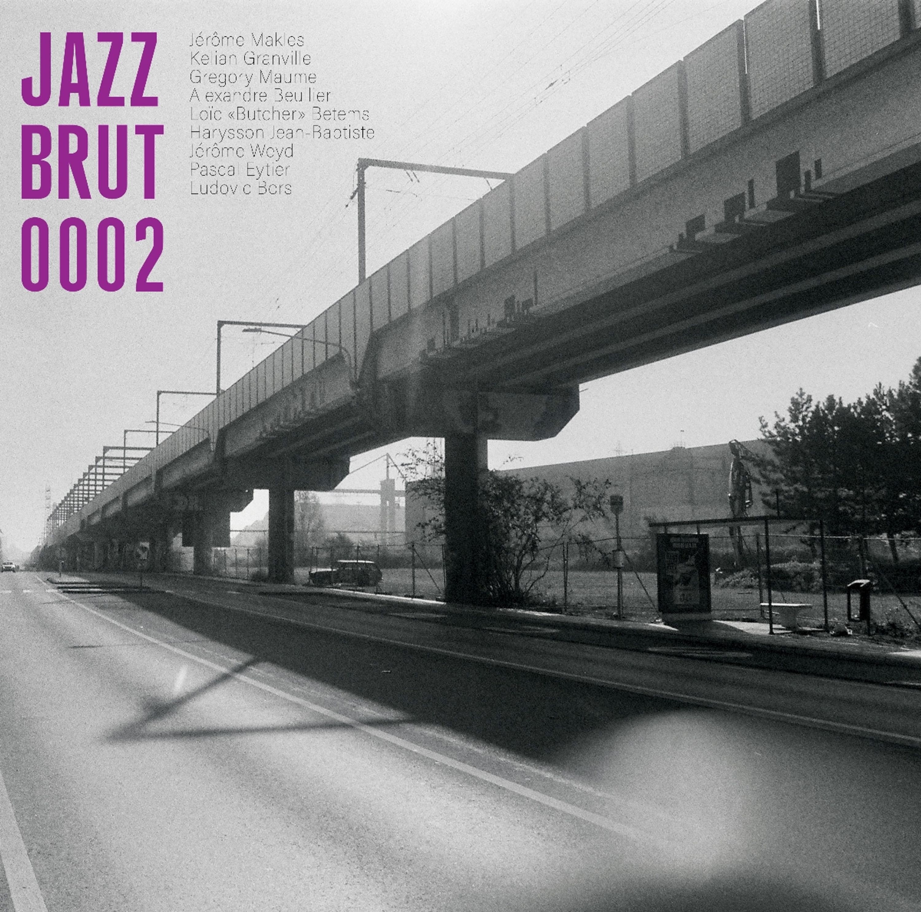 Vinyl - JAZZ BRUT 02