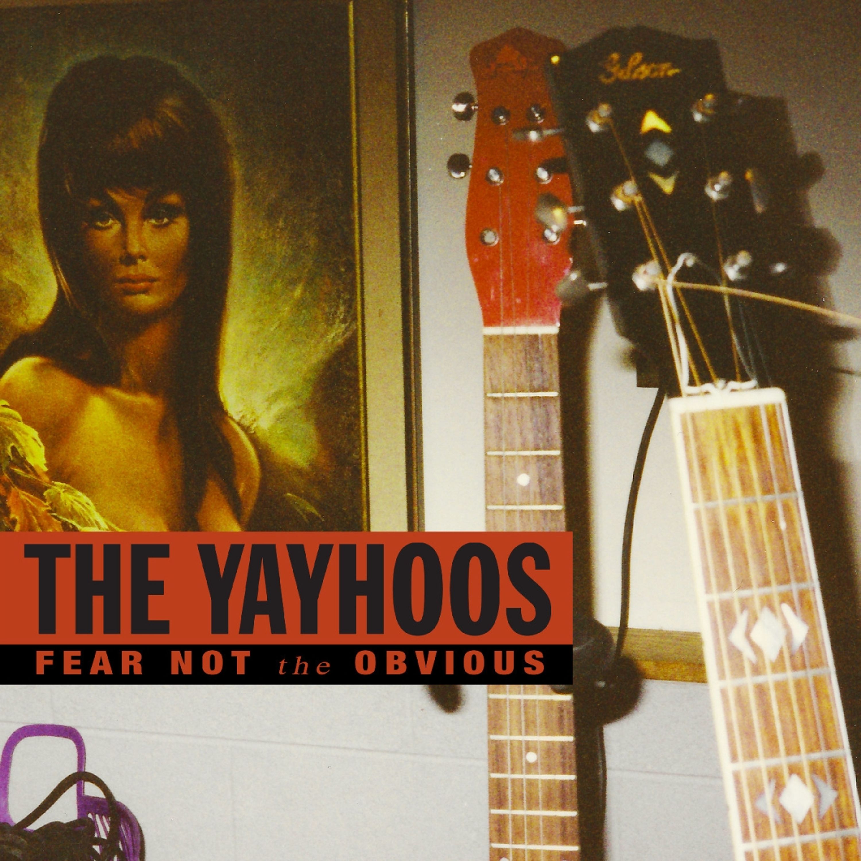 Vinyl The Yayhoos - FEAR NOT THE OBVIOUS