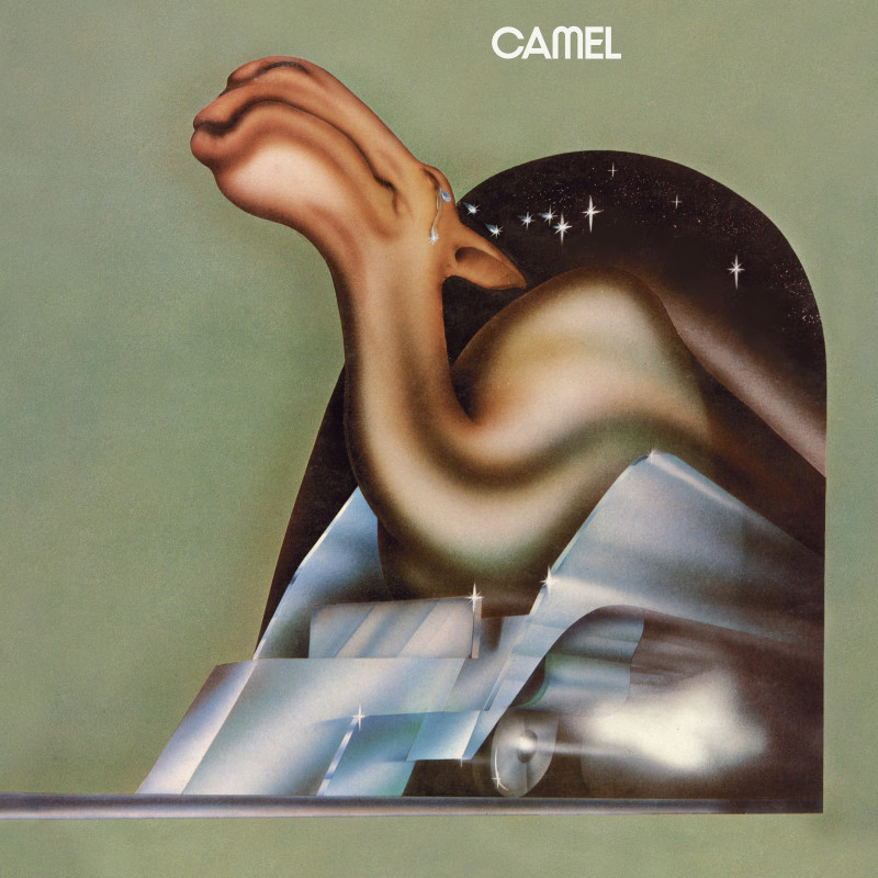 Vinyl Camel - CAMEL