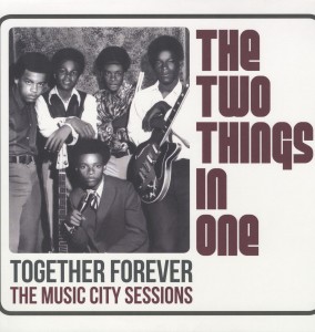 Vinyl Two Things in One - TOGETHER FOREVER