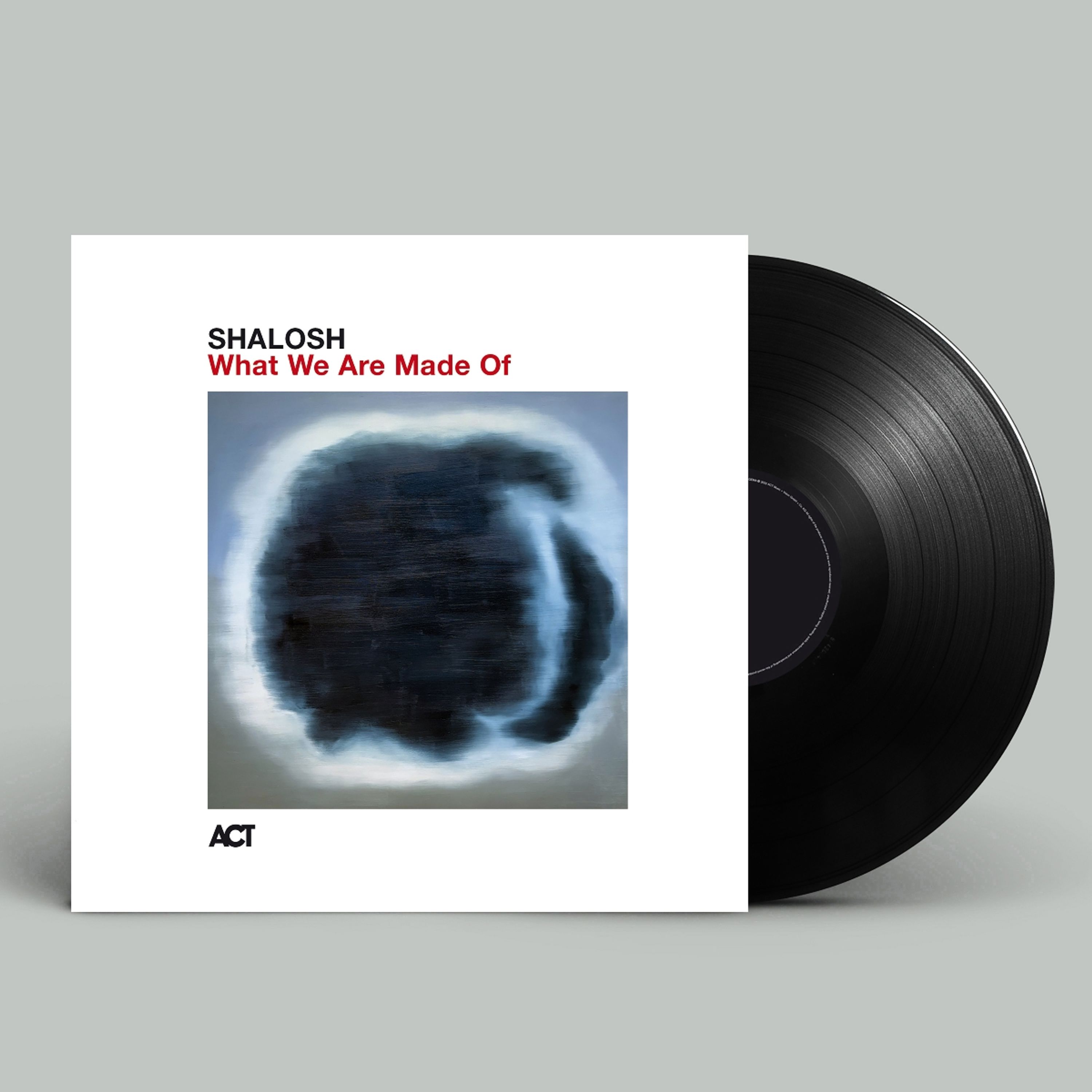 Vinyl - WHAT WE ARE MADE OF