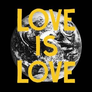 Vinyl The Woods - LOVE IS LOVE