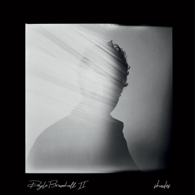 CD Doyle Bramhall II - SHADES